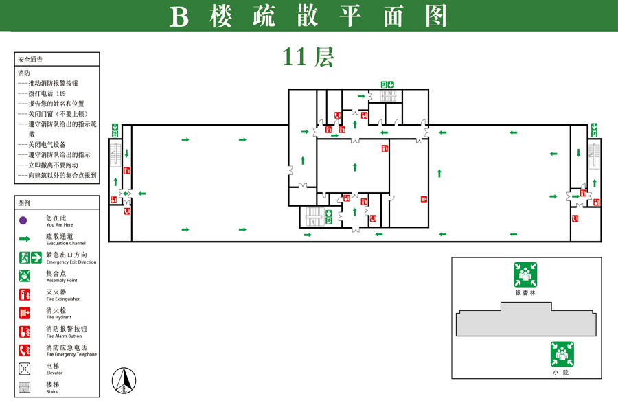 B 11.jpg