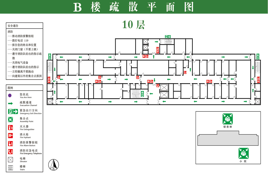 B 10.jpg