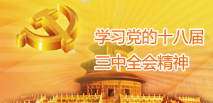 學(xué)習(xí)十八屆三中全會(huì)精神