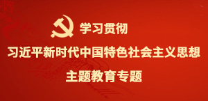學(xué)習(xí)貫徹習(xí)近平新時(shí)代中國(guó)特色社會(huì)主義思想主題教育專(zhuān)題