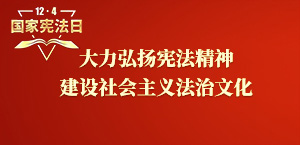 大力弘揚(yáng)憲法精神  建設(shè)社會(huì)主義法治文化 